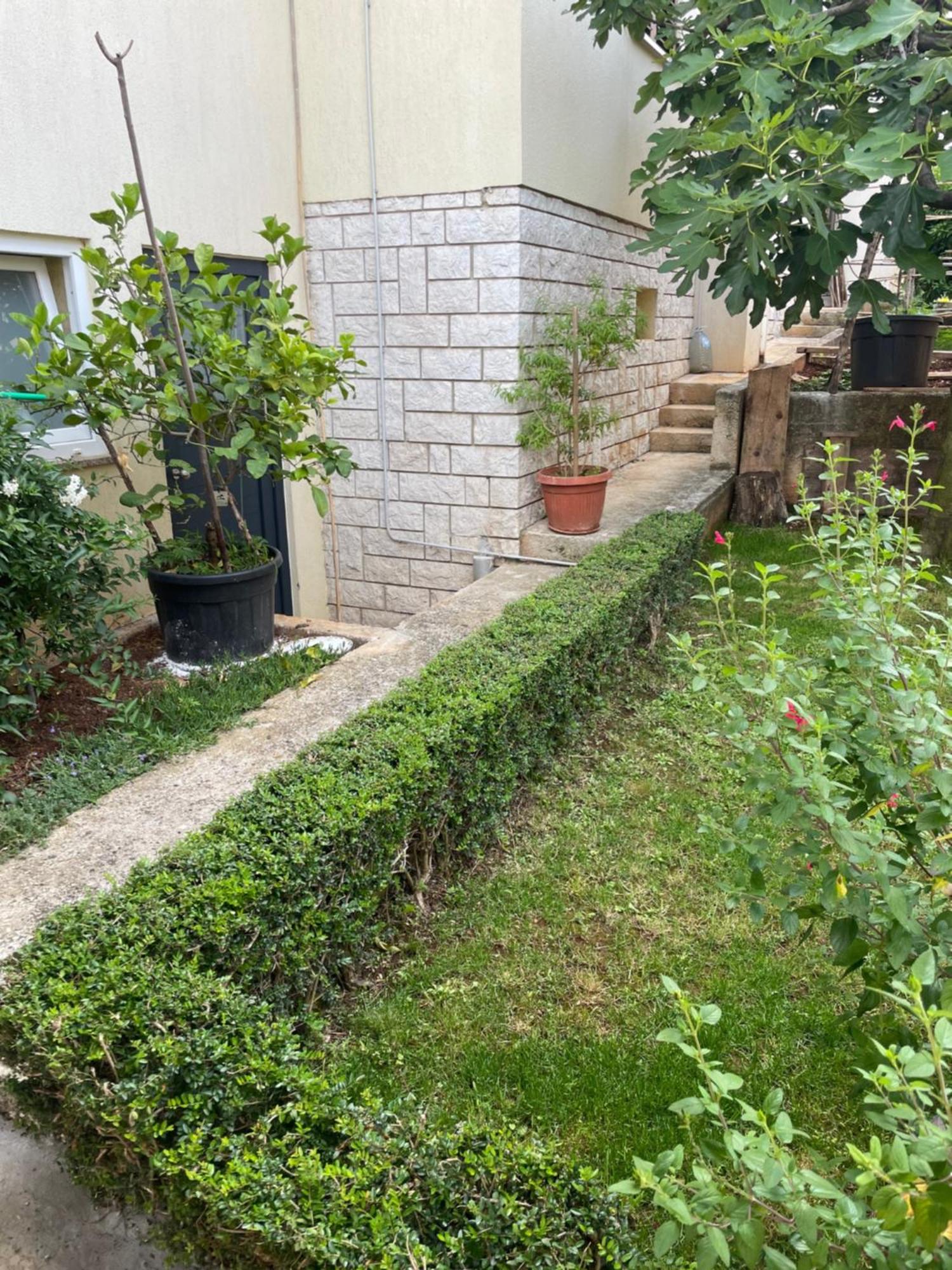 Apartmani Darko Rovinj Exterior foto